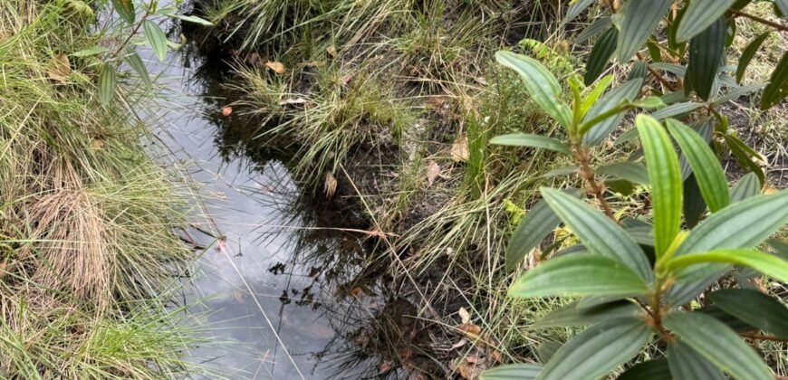 Chácara 5 Alqueires – Km 12 – Lindo Visual – Entre Alto Paraíso e São Jorge