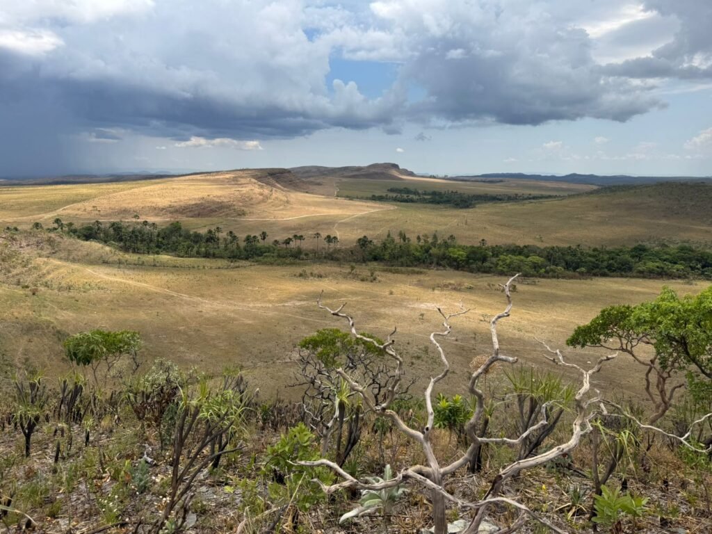 Chácara 5 Alqueires – Km 12 – Lindo Visual – Entre Alto Paraíso e São Jorge