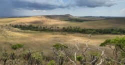 Chácara 5 Alqueires – Km 12 – Lindo Visual – Entre Alto Paraíso e São Jorge Chácara 5 Alqueires – Km 12 – Lindo Visual – Entre Alto Paraíso e São Jorge