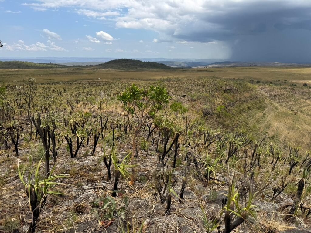 Chácara 5 Alqueires – Km 12 – Lindo Visual – Entre Alto Paraíso e São Jorge