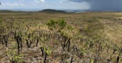 Chácara 5 Alqueires – Km 12 – Lindo Visual – Entre Alto Paraíso e São Jorge Chácara 5 Alqueires – Km 12 – Lindo Visual – Entre Alto Paraíso e São Jorge