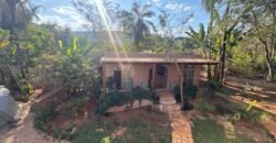 Linda Casa – Povoado do Moinho – Próximo Cachoeira Anjos e Arcanjos – Chapada dos Veadeiros Linda Casa – Povoado do Moinho – Próximo Cachoeira Anjos e Arcanjos – Chapada dos Veadeiros