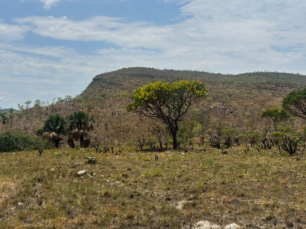 Chácara 5 Alqueires – Km 12 – Lindo Visual – Entre Alto Paraíso e São Jorge