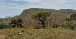 Chácara 5 Alqueires – Km 12 – Lindo Visual – Entre Alto Paraíso e São Jorge Chácara 5 Alqueires – Km 12 – Lindo Visual – Entre Alto Paraíso e São Jorge