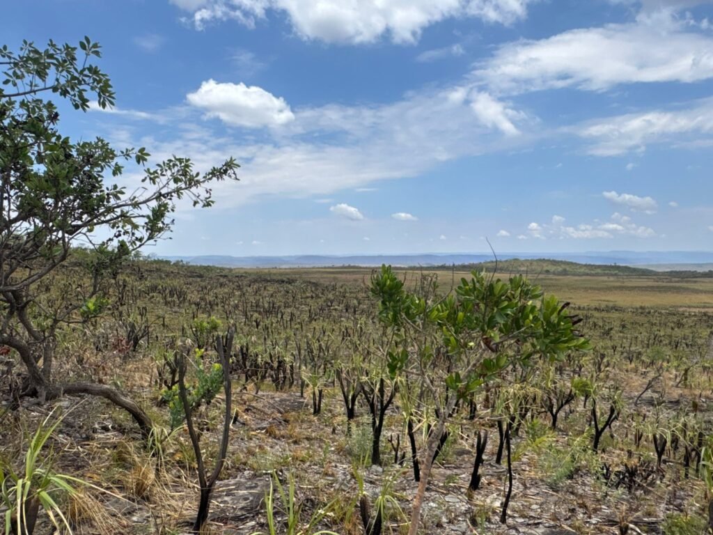 Chácara 5 Alqueires – Km 12 – Lindo Visual – Entre Alto Paraíso e São Jorge