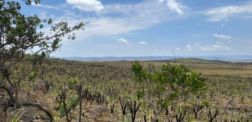 Chácara 5 Alqueires – Km 12 – Lindo Visual – Entre Alto Paraíso e São Jorge