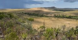 Chácara 5 Alqueires – Km 12 – Lindo Visual – Entre Alto Paraíso e São Jorge Chácara 5 Alqueires – Km 12 – Lindo Visual – Entre Alto Paraíso e São Jorge