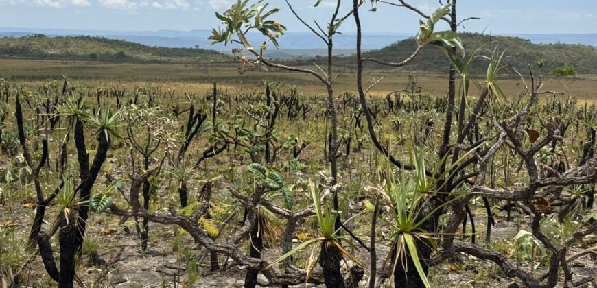 Chácara 5 Alqueires – Km 12 – Lindo Visual – Entre Alto Paraíso e São Jorge