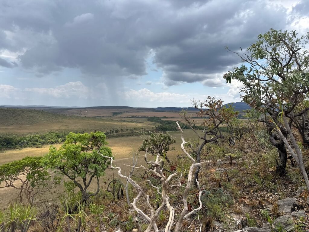 Chácara 5 Alqueires – Km 12 – Lindo Visual – Entre Alto Paraíso e São Jorge