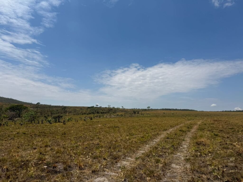 Chácara 5 Alqueires – Km 12 – Lindo Visual – Entre Alto Paraíso e São Jorge