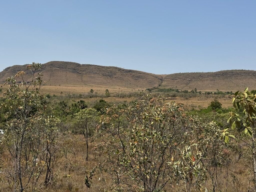 Cháraca 6ha – Córrego – Vista Morro da Baleia – Chapada dos Veadeiros