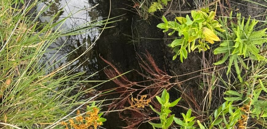 Chácara 5 Alqueires – Km 12 – Lindo Visual – Entre Alto Paraíso e São Jorge