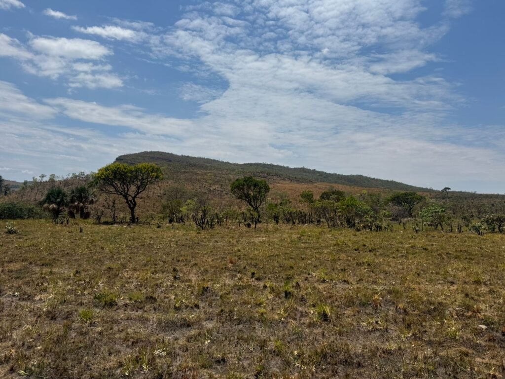 Chácara 5 Alqueires – Km 12 – Lindo Visual – Entre Alto Paraíso e São Jorge