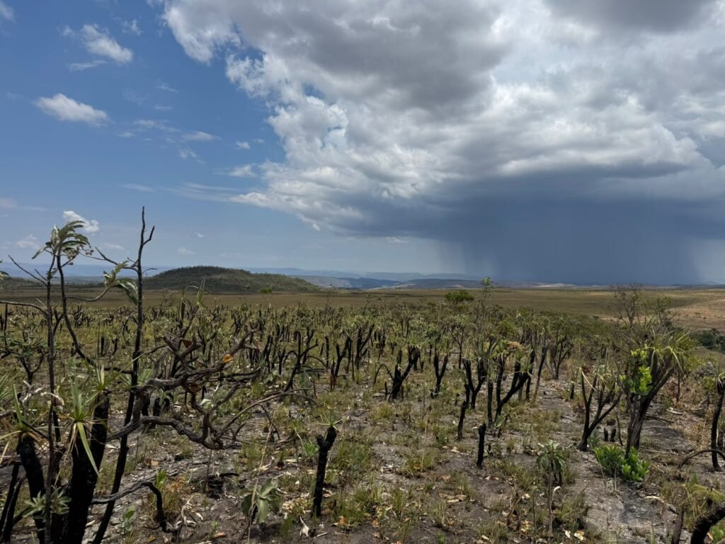 Chácara 5 Alqueires – Km 12 – Lindo Visual – Entre Alto Paraíso e São Jorge