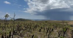 Chácara 5 Alqueires – Km 12 – Lindo Visual – Entre Alto Paraíso e São Jorge Chácara 5 Alqueires – Km 12 – Lindo Visual – Entre Alto Paraíso e São Jorge