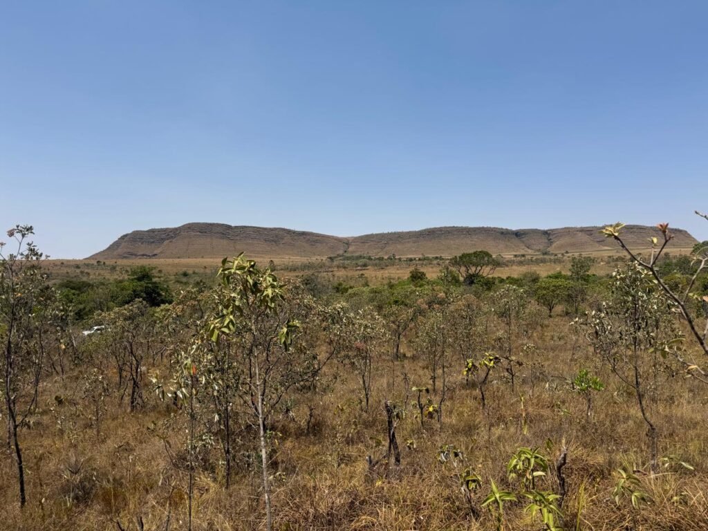 Cháraca 6ha – Córrego – Vista Morro da Baleia – Chapada dos Veadeiros