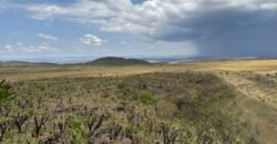 Chácara 5 Alqueires – Km 12 – Lindo Visual – Entre Alto Paraíso e São Jorge Chácara 5 Alqueires – Km 12 – Lindo Visual – Entre Alto Paraíso e São Jorge