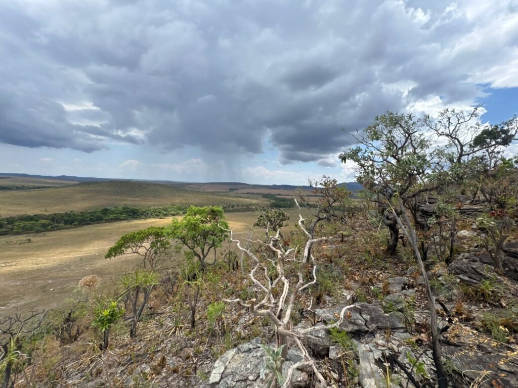Chácara 5 Alqueires – Km 12 – Lindo Visual – Entre Alto Paraíso e São Jorge