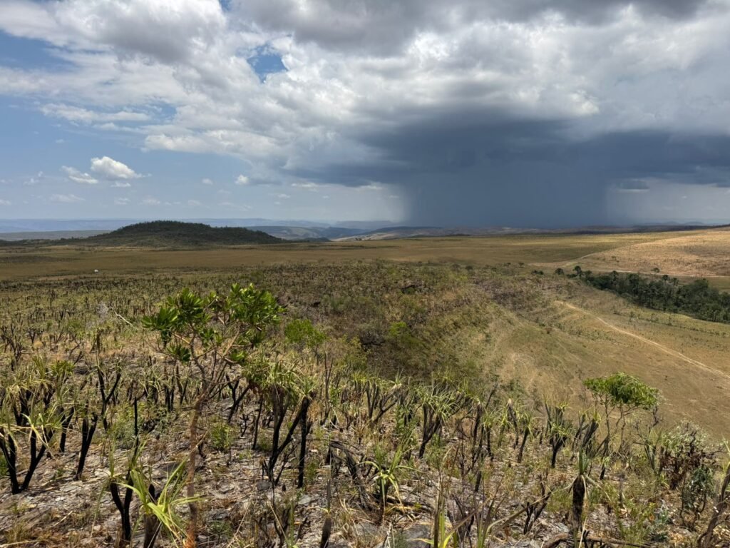 Chácara 5 Alqueires – Km 12 – Lindo Visual – Entre Alto Paraíso e São Jorge