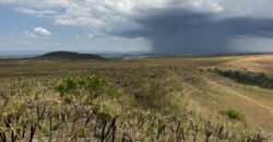 Chácara 5 Alqueires – Km 12 – Lindo Visual – Entre Alto Paraíso e São Jorge Chácara 5 Alqueires – Km 12 – Lindo Visual – Entre Alto Paraíso e São Jorge