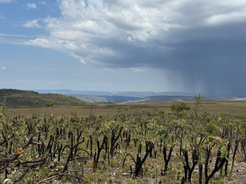 Chácara 5 Alqueires – Km 12 – Lindo Visual – Entre Alto Paraíso e São Jorge