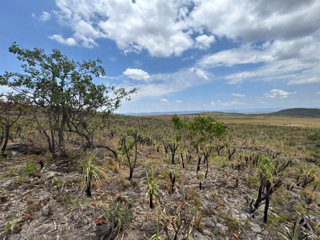 Chácara 5 Alqueires – Km 12 – Lindo Visual – Entre Alto Paraíso e São Jorge