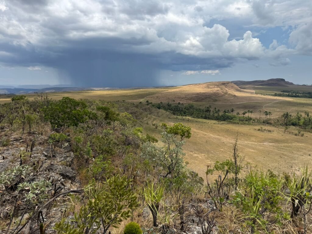 Chácara 5 Alqueires – Km 12 – Lindo Visual – Entre Alto Paraíso e São Jorge