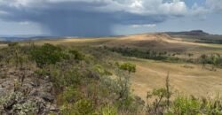 Chácara 5 Alqueires – Km 12 – Lindo Visual – Entre Alto Paraíso e São Jorge Chácara 5 Alqueires – Km 12 – Lindo Visual – Entre Alto Paraíso e São Jorge