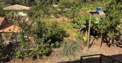 Vende-se Prédio Comercial – 2.300m2 em Localização Privilegiada – Alto Paraíso de Goiás Vende-se Prédio Comercial – 2.300m2 em Localização Privilegiada – Alto Paraíso de Goiás