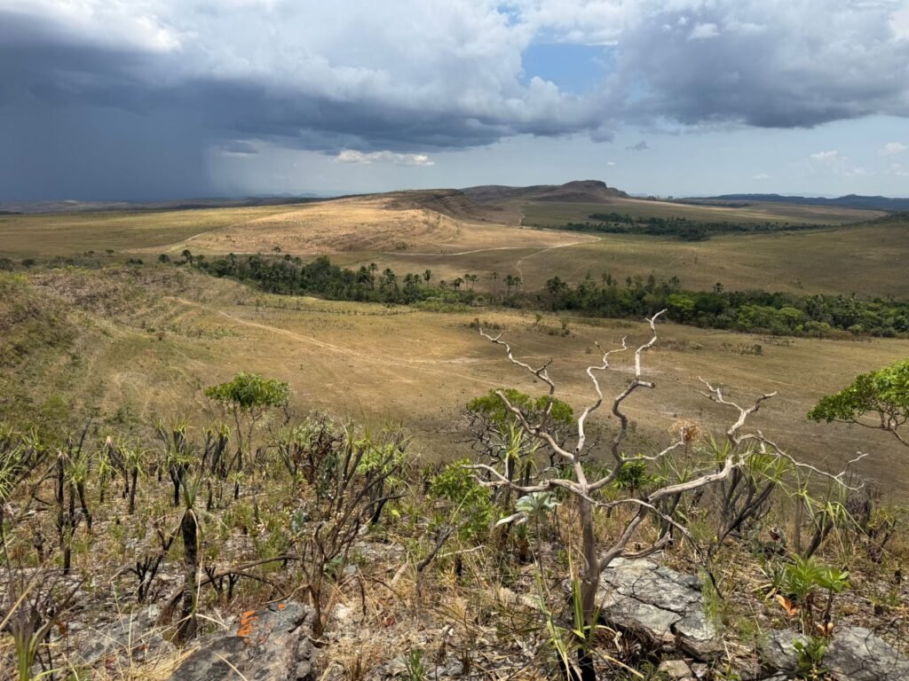 Chácara 5 Alqueires – Km 12 – Lindo Visual – Entre Alto Paraíso e São Jorge