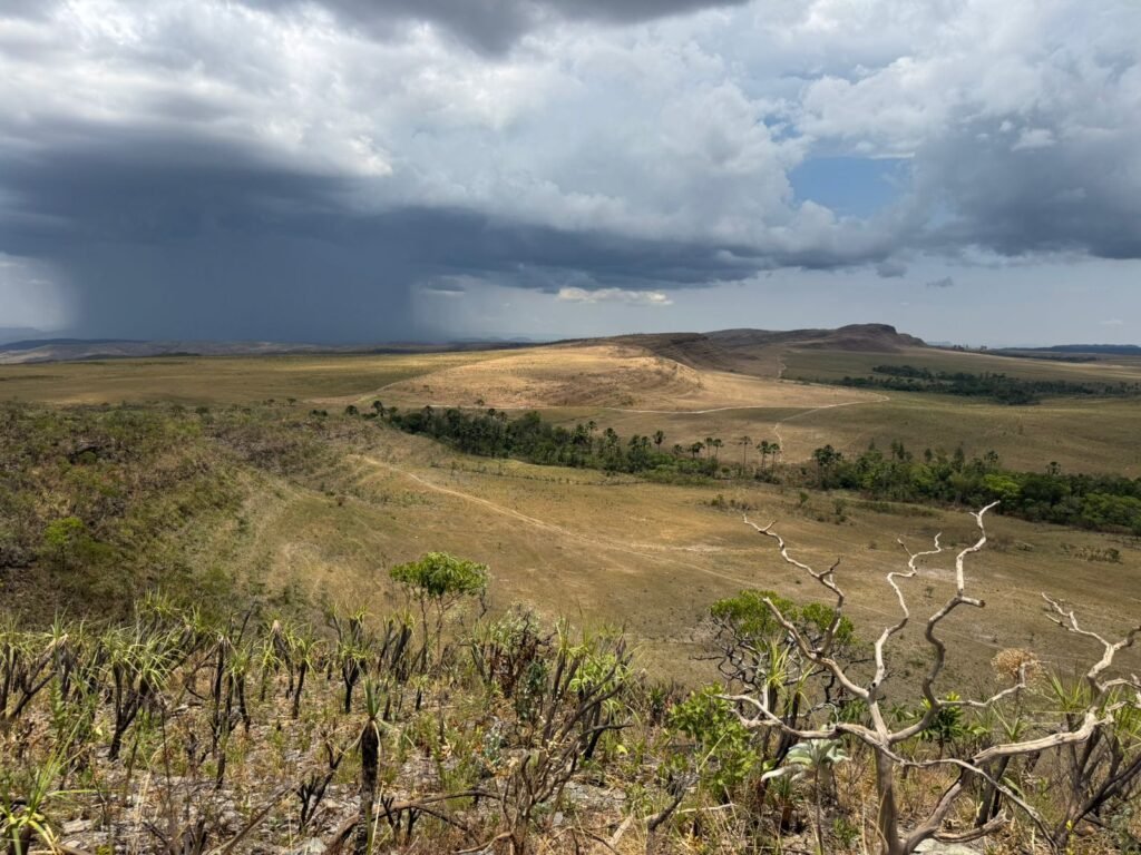 Chácara 5 Alqueires – Km 12 – Lindo Visual – Entre Alto Paraíso e São Jorge