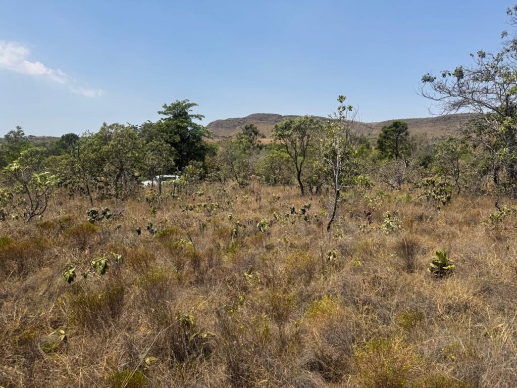 Cháraca 6ha – Córrego – Vista Morro da Baleia – Chapada dos Veadeiros