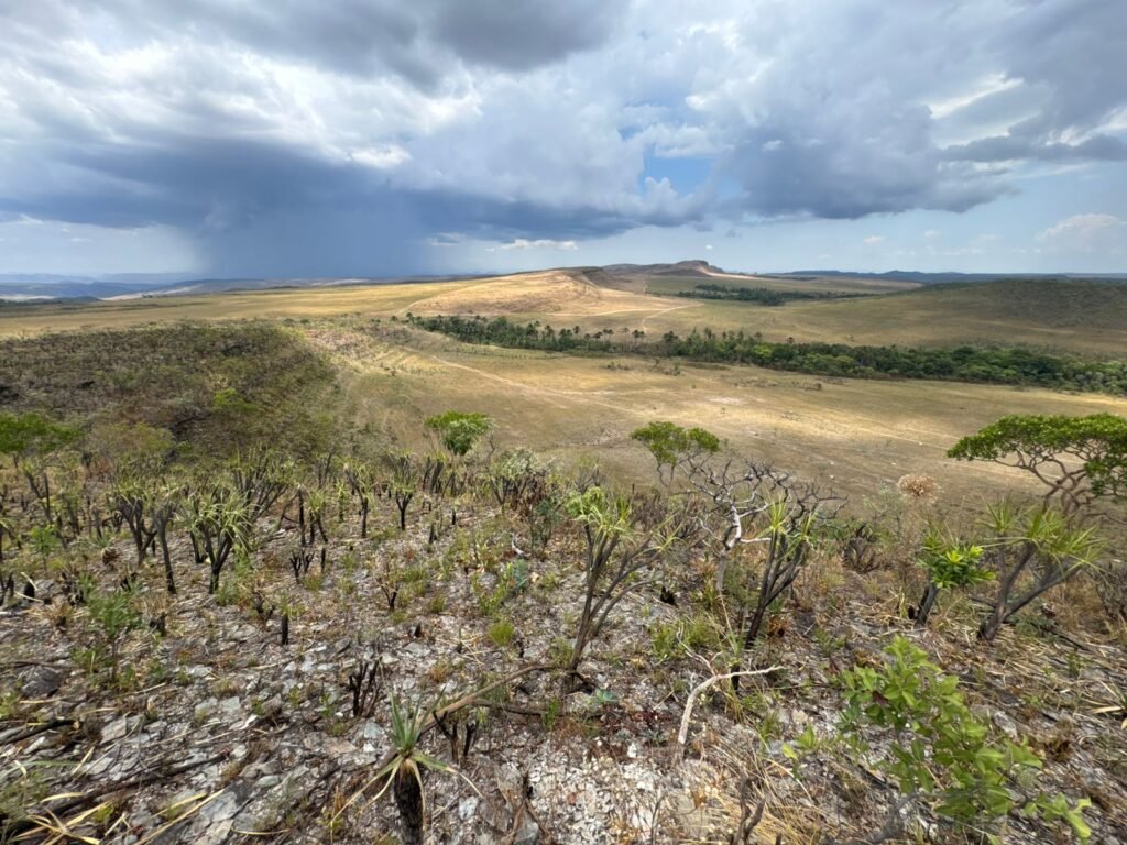 Chácara 5 Alqueires – Km 12 – Lindo Visual – Entre Alto Paraíso e São Jorge