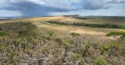 Chácara 5 Alqueires – Km 12 – Lindo Visual – Entre Alto Paraíso e São Jorge Chácara 5 Alqueires – Km 12 – Lindo Visual – Entre Alto Paraíso e São Jorge