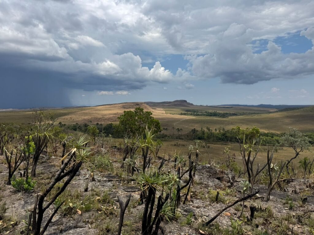 Chácara 5 Alqueires – Km 12 – Lindo Visual – Entre Alto Paraíso e São Jorge