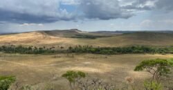 Chácara 5 Alqueires – Km 12 – Lindo Visual – Entre Alto Paraíso e São Jorge Chácara 5 Alqueires – Km 12 – Lindo Visual – Entre Alto Paraíso e São Jorge