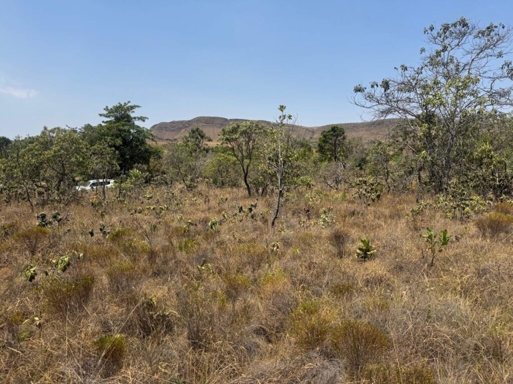 Cháraca 6ha – Córrego – Vista Morro da Baleia – Chapada dos Veadeiros