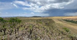 Chácara 5 Alqueires – Km 12 – Lindo Visual – Entre Alto Paraíso e São Jorge Chácara 5 Alqueires – Km 12 – Lindo Visual – Entre Alto Paraíso e São Jorge