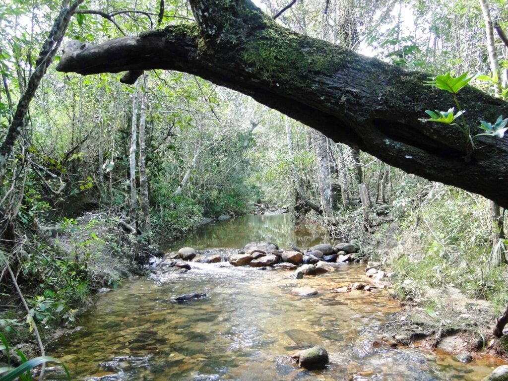 Propriedade com Casa – 4ha exclusiva na Região do Morrão / Sertão Zen – Alto Paraíso de Goiás