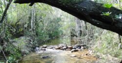 Propriedade com Casa – 4ha exclusiva na Região do Morrão / Sertão Zen – Alto Paraíso de Goiás Propriedade com Casa – 4ha exclusiva na Região do Morrão / Sertão Zen – Alto Paraíso de Goiás