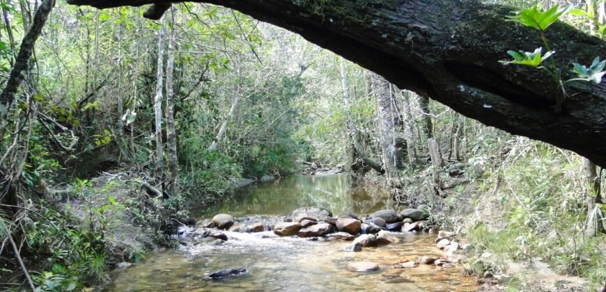 Propriedade com Casa – 4ha exclusiva na Região do Morrão / Sertão Zen – Alto Paraíso de Goiás