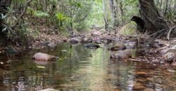 Propriedade com Casa – 4ha exclusiva na Região do Morrão / Sertão Zen – Alto Paraíso de Goiás Propriedade com Casa – 4ha exclusiva na Região do Morrão / Sertão Zen – Alto Paraíso de Goiás