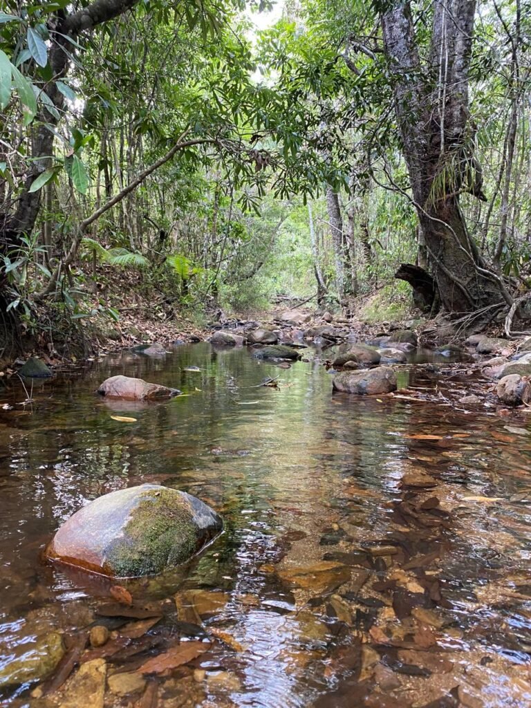 Propriedade com Casa – 4ha exclusiva na Região do Morrão / Sertão Zen – Alto Paraíso de Goiás