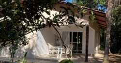 Propriedade com Casa – 4ha exclusiva na Região do Morrão / Sertão Zen – Alto Paraíso de Goiás Propriedade com Casa – 4ha exclusiva na Região do Morrão / Sertão Zen – Alto Paraíso de Goiás