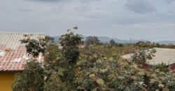 Aluga-se 3 Chalés Charmosos com Ofurô Privativo – Eldorado – Alto Paraíso de Goiás Aluga-se 3 Chalés Charmosos com Ofurô Privativo – Eldorado – Alto Paraíso de Goiás