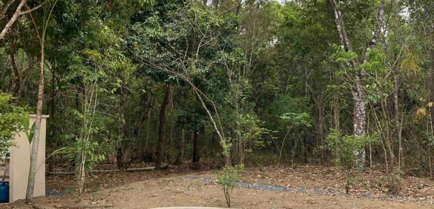 Propriedade com Casa – 4ha exclusiva na Região do Morrão / Sertão Zen – Alto Paraíso de Goiás