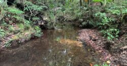 Vende-se Lote 3.000m2 – Alto Paraíso de Goiás