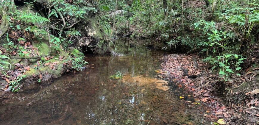 Vende-se Lote 3.000m2 – Alto Paraíso de Goiás