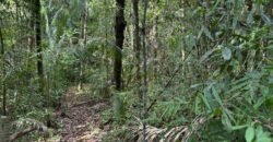 Vende-se Lote 3.000m2 – Alto Paraíso de Goiás