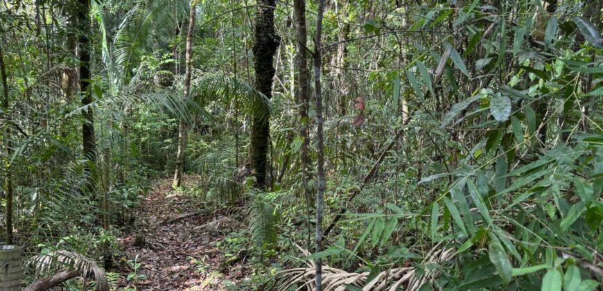 Vende-se Lote 3.000m2 – Alto Paraíso de Goiás